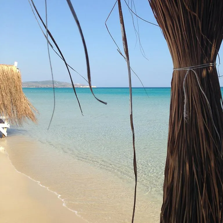 **** Hotel Alacati La Vela - Adult Only Türkei